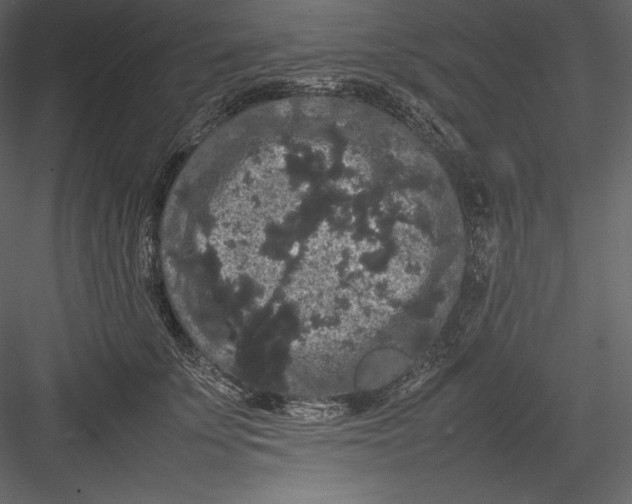 X0000082940707200702222247