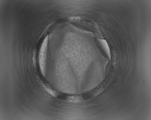 X0000082940708200702222247