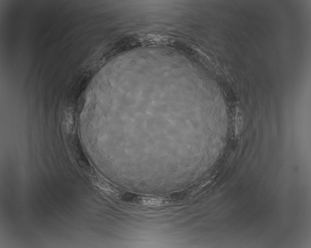 X0000082940709200702222247