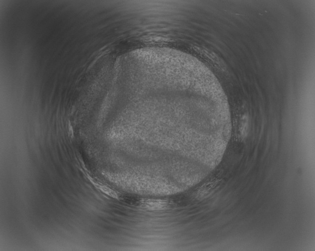 X0000082940710200702222247