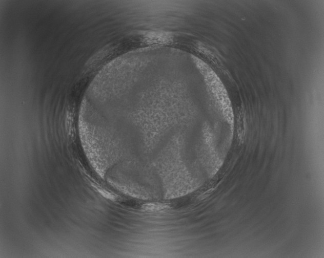 X0000082940714200702222247