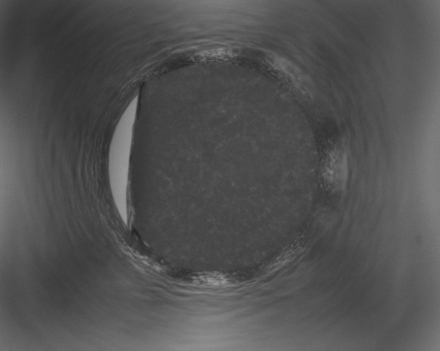 X0000082940715200702222247