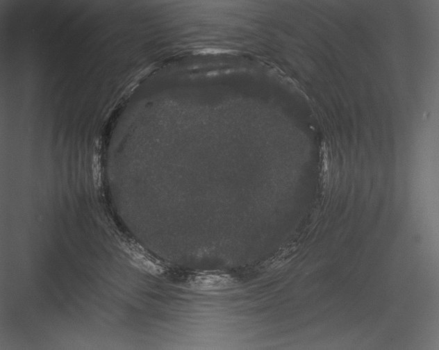 X0000082940716200702222247