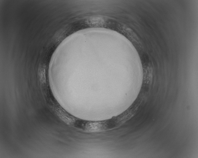 X0000082940717200702222247