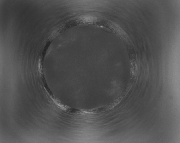 X0000082940718200702222247