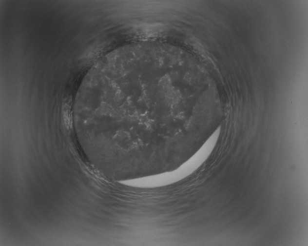 X0000082940719200702222247