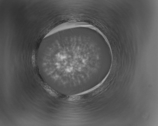 X0000082940720200702222247