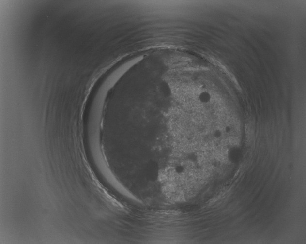 X0000082940721200702222246