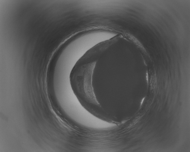 X0000082940722200702222246