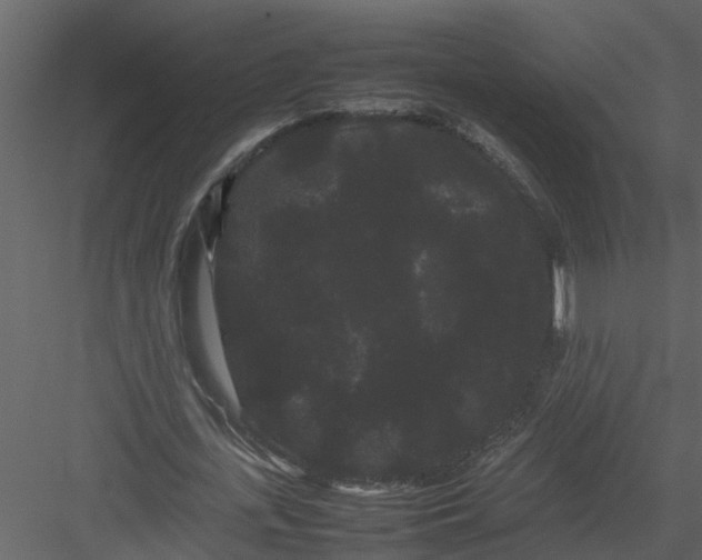 X0000082940723200702222246