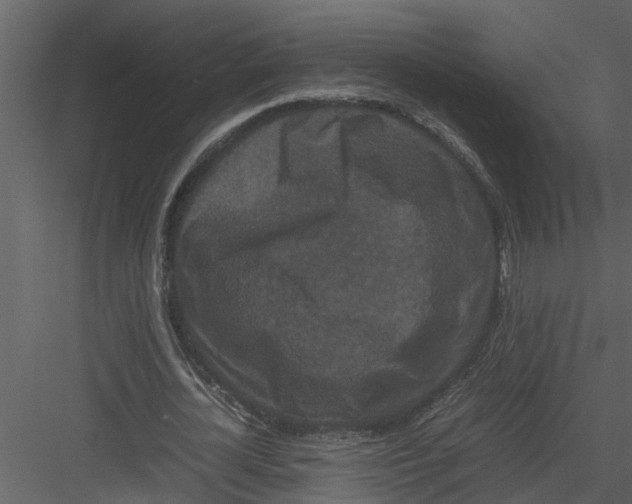 X0000082940724200702222246