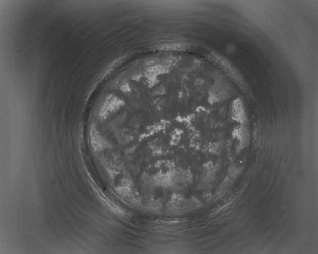 X0000082940725200702222246