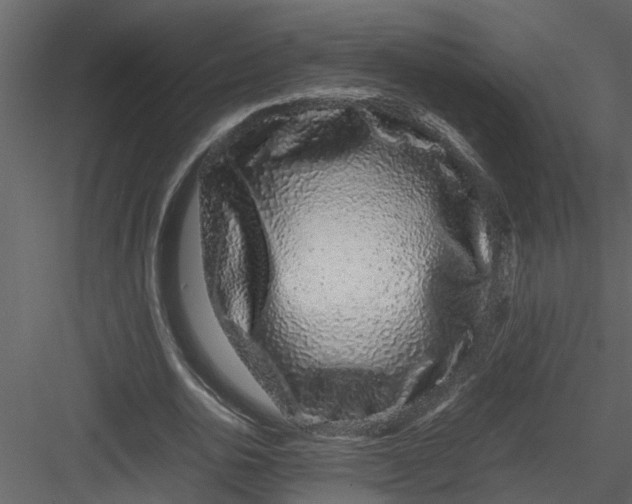 X0000082940726200702222246