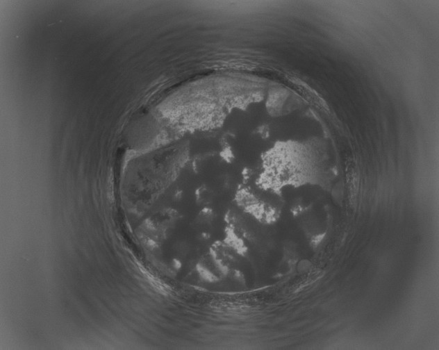 X0000082940729200702222246