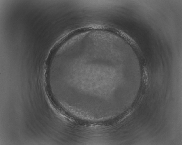 X0000082940730200702222246