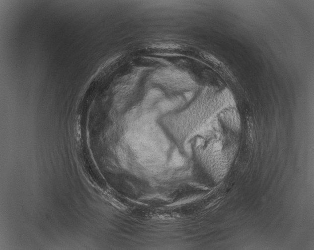 X0000082940731200702222246