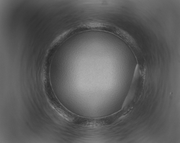 X0000082940732200702222246