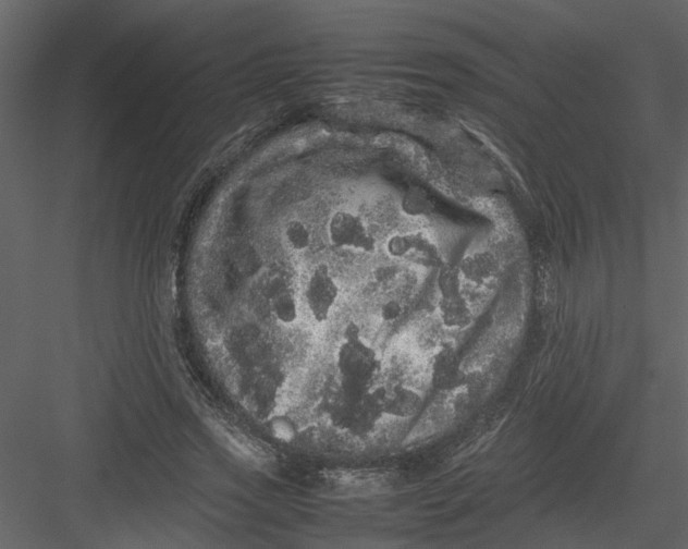 X0000082940733200702222246