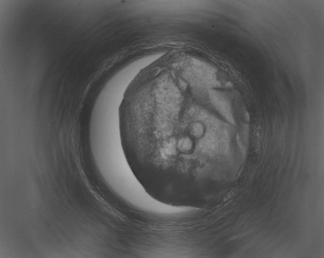 X0000082940734200702222246