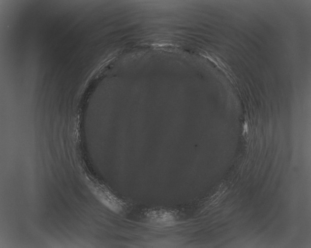 X0000082940735200702222246