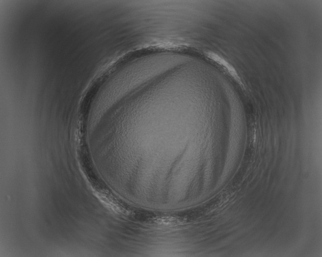 X0000082940736200702222246