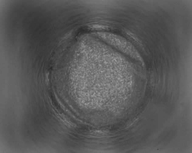 X0000082940737200702222246