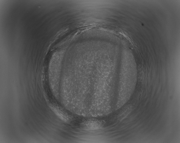 X0000082940738200702222246