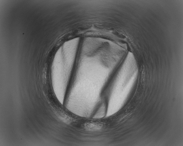 X0000082940739200702222246