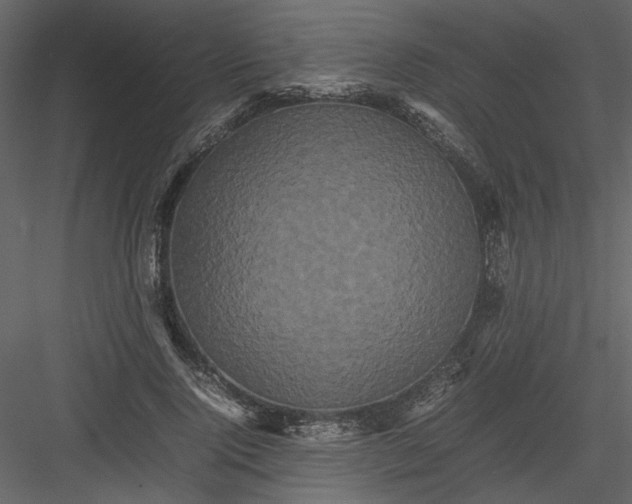 X0000082940740200702222246