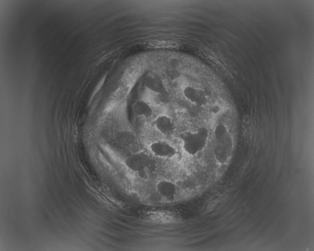 X0000082940741200702222246