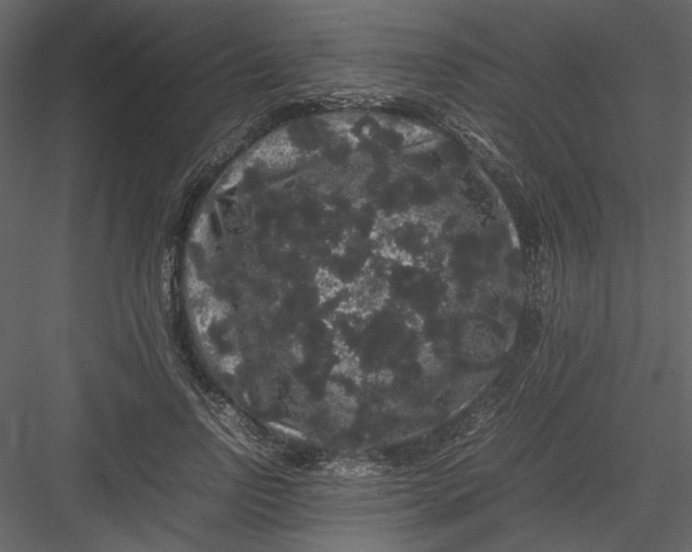 X0000082940742200702222246