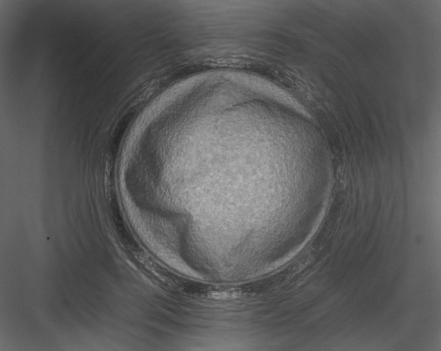 X0000082940744200702222246