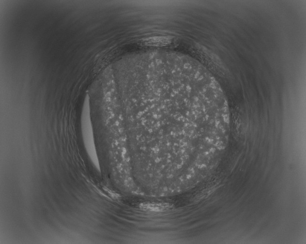 X0000082940745200702222246