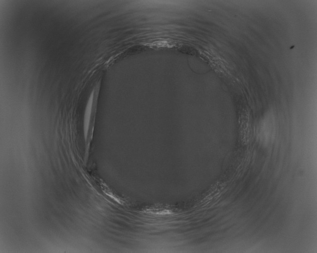 X0000082940747200702222246