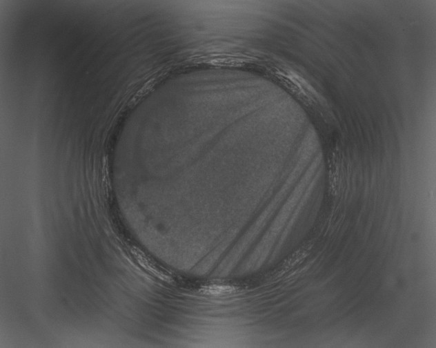 X0000082940748200702222246