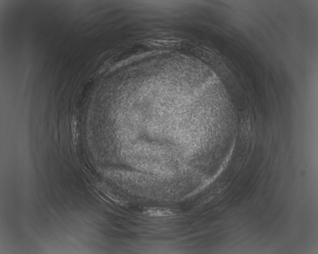 X0000082940749200702222246