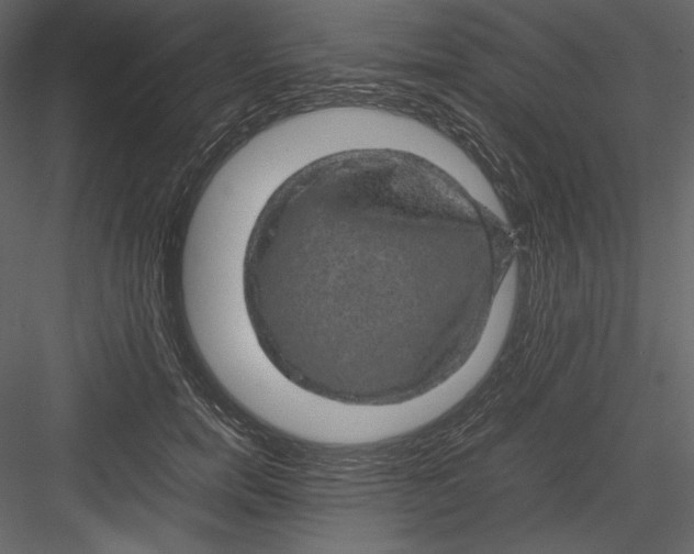 X0000082940750200702222246