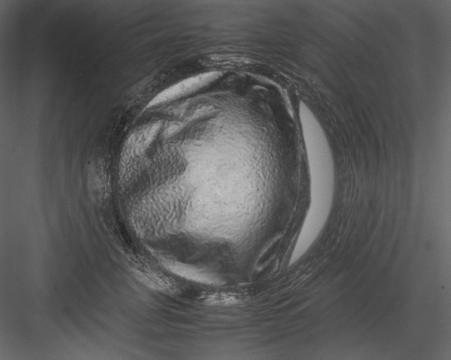 X0000082940751200702222246