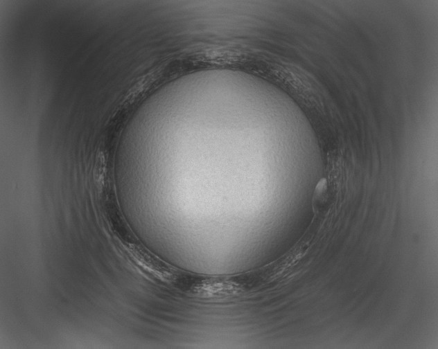 X0000082940752200702222246