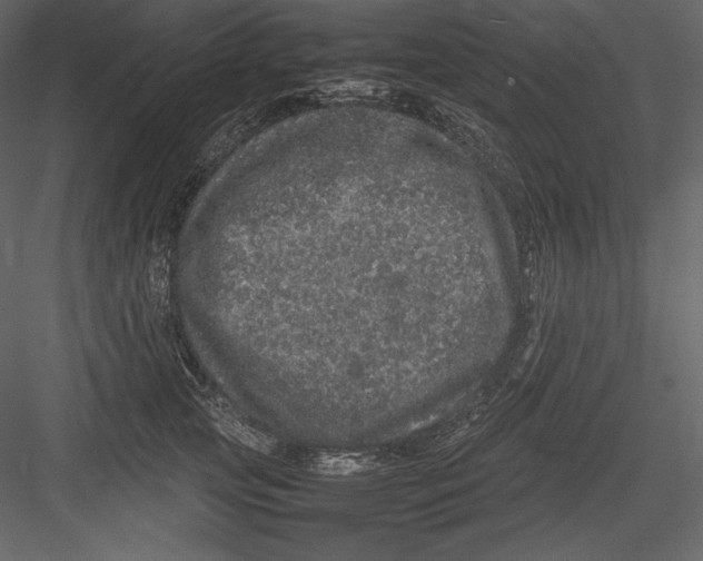 X0000082940753200702222246