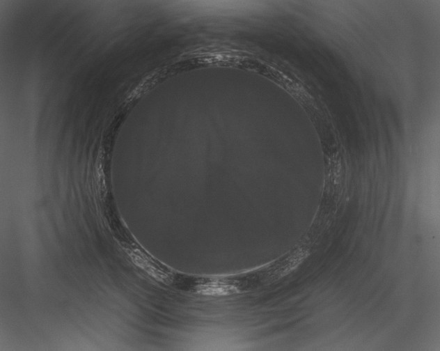 X0000082940754200702222246