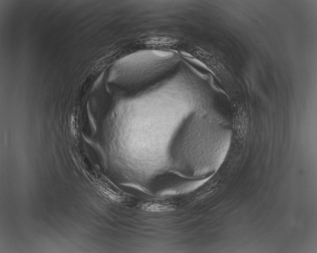 X0000082940755200702222246