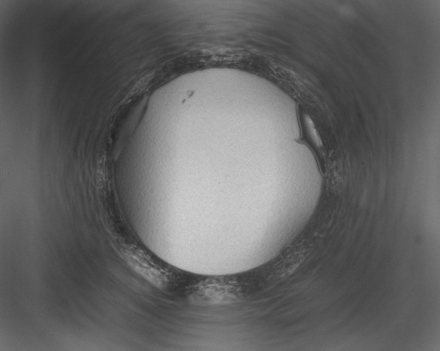 X0000082940756200702222246