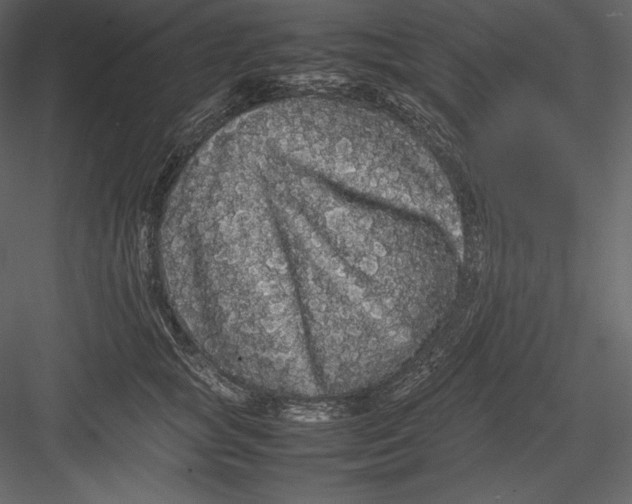 X0000082940757200702222246