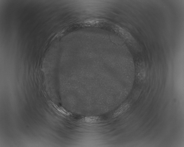 X0000082940758200702222246