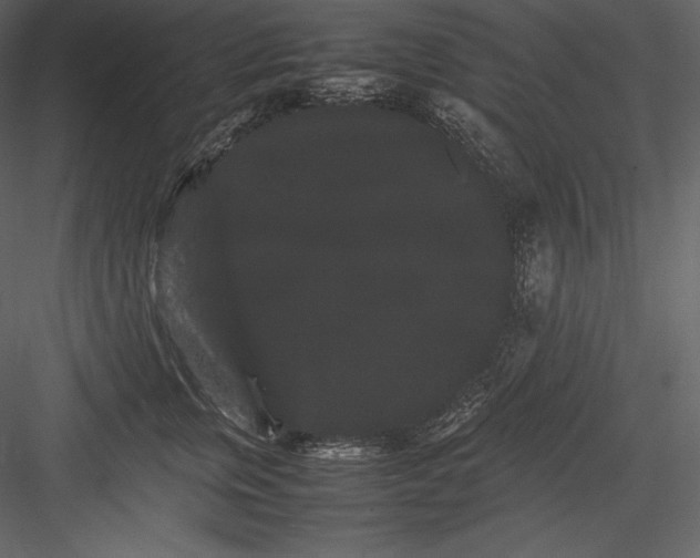 X0000082940759200702222246