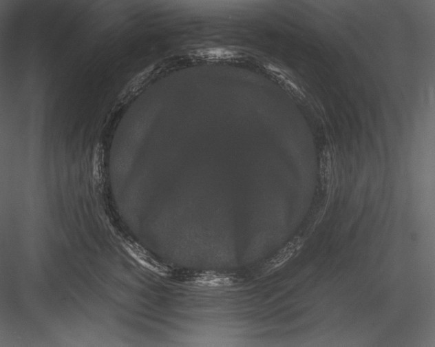 X0000082940760200702222246