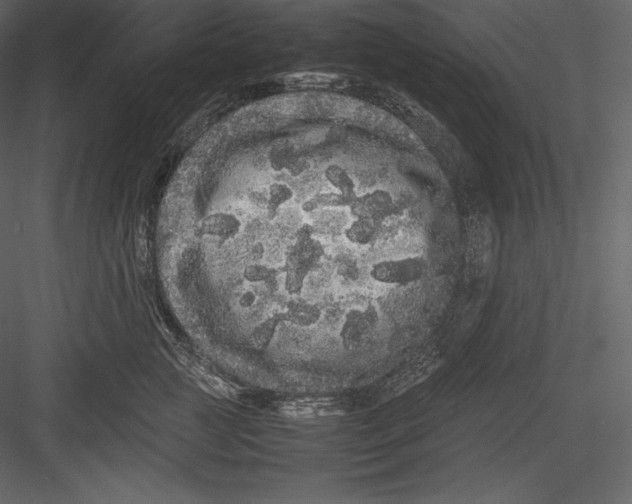 X0000082940761200702222246