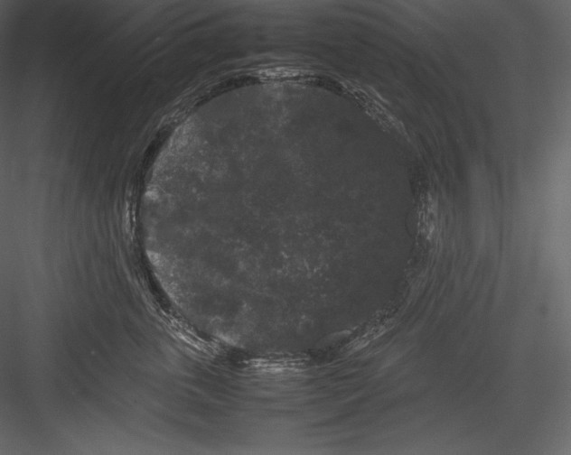 X0000082940763200702222246