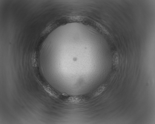 X0000082940764200702222246